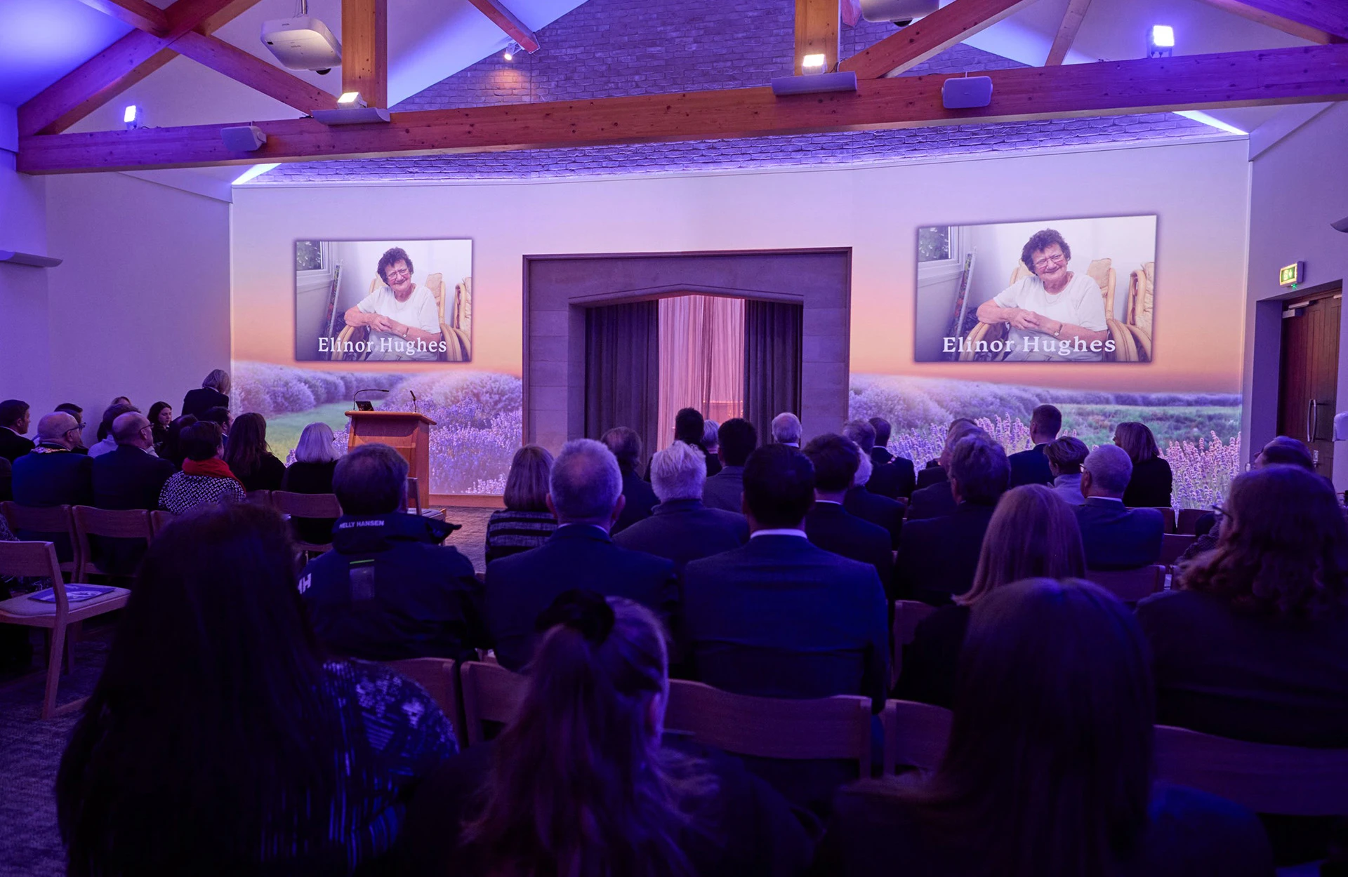 3lr-Immersive-image-1